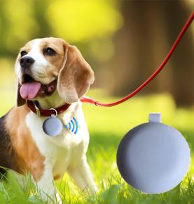 iBEACON Bluetooth ev heyvanı itmə əleyhinə elektron it etiketi uzun məsafəli heyvan identifikasiyası it etiketi istehsalçıları topdansatış