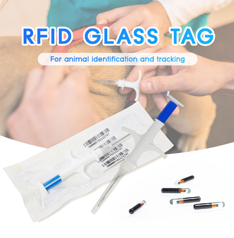 Heyvan inyeksiya RFID şüşə boru bioelektronik etiket