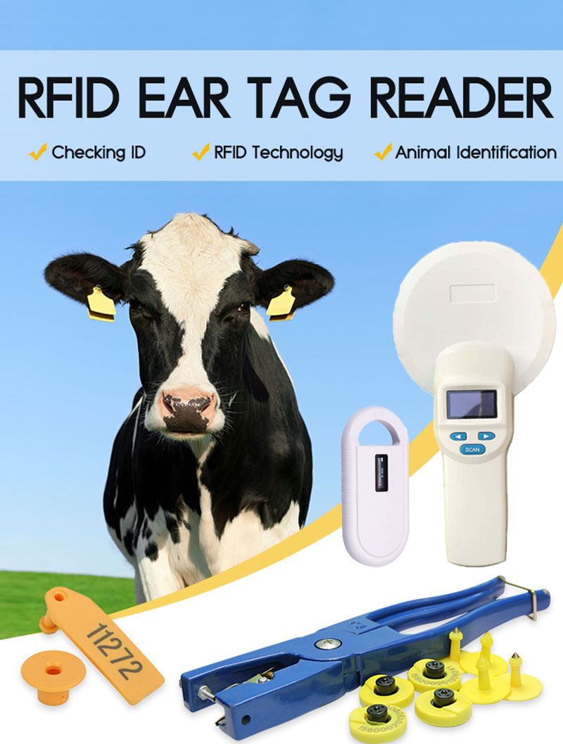  RFID Heyvan Qulaq Etiketi Kolleksiyası İdentifikasiyası Əl Kartı Oxucusu